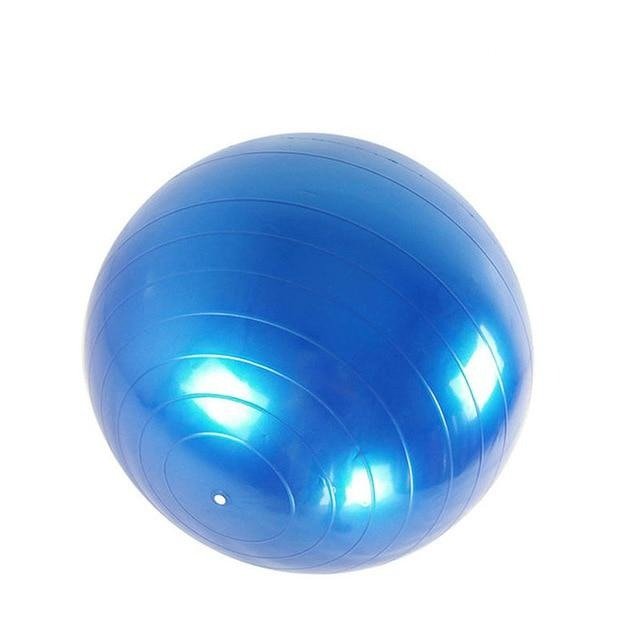 55cm Yoga Exercise Ball Gym Ball Balance Ball Yoga